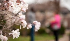 Flowers at QU