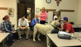 Quincy University Students Discover the Biology of Dogs