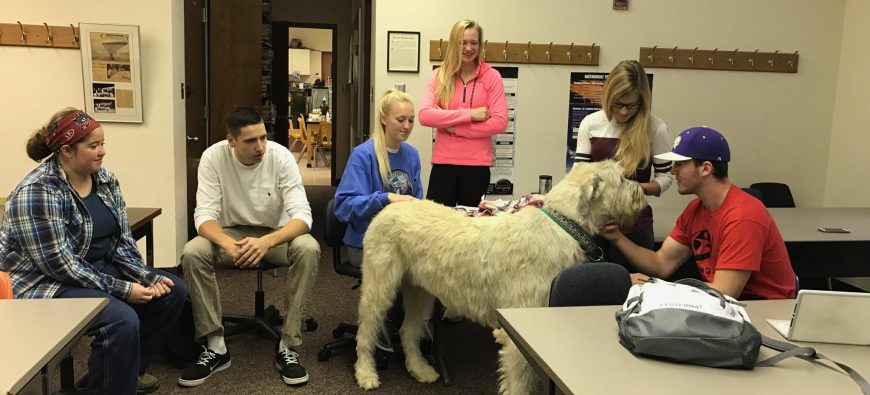 Quincy University Students Discover the Biology of Dogs