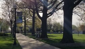 campus walkway