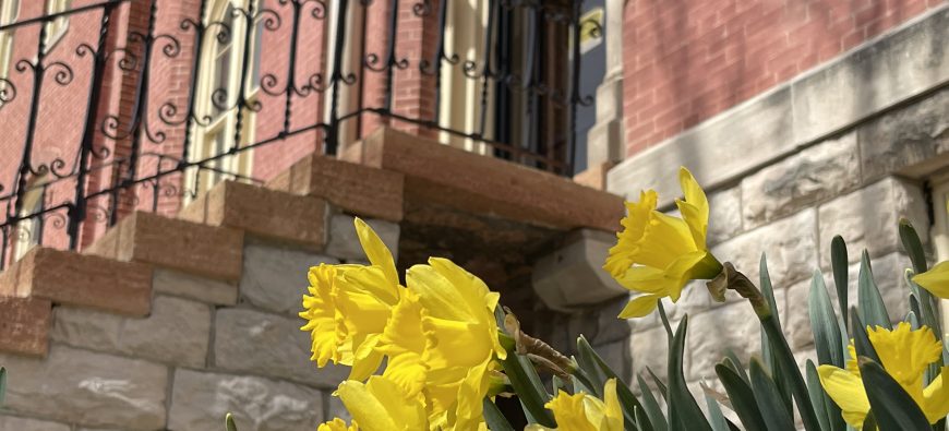 Flowers with Francis Hall in the Background