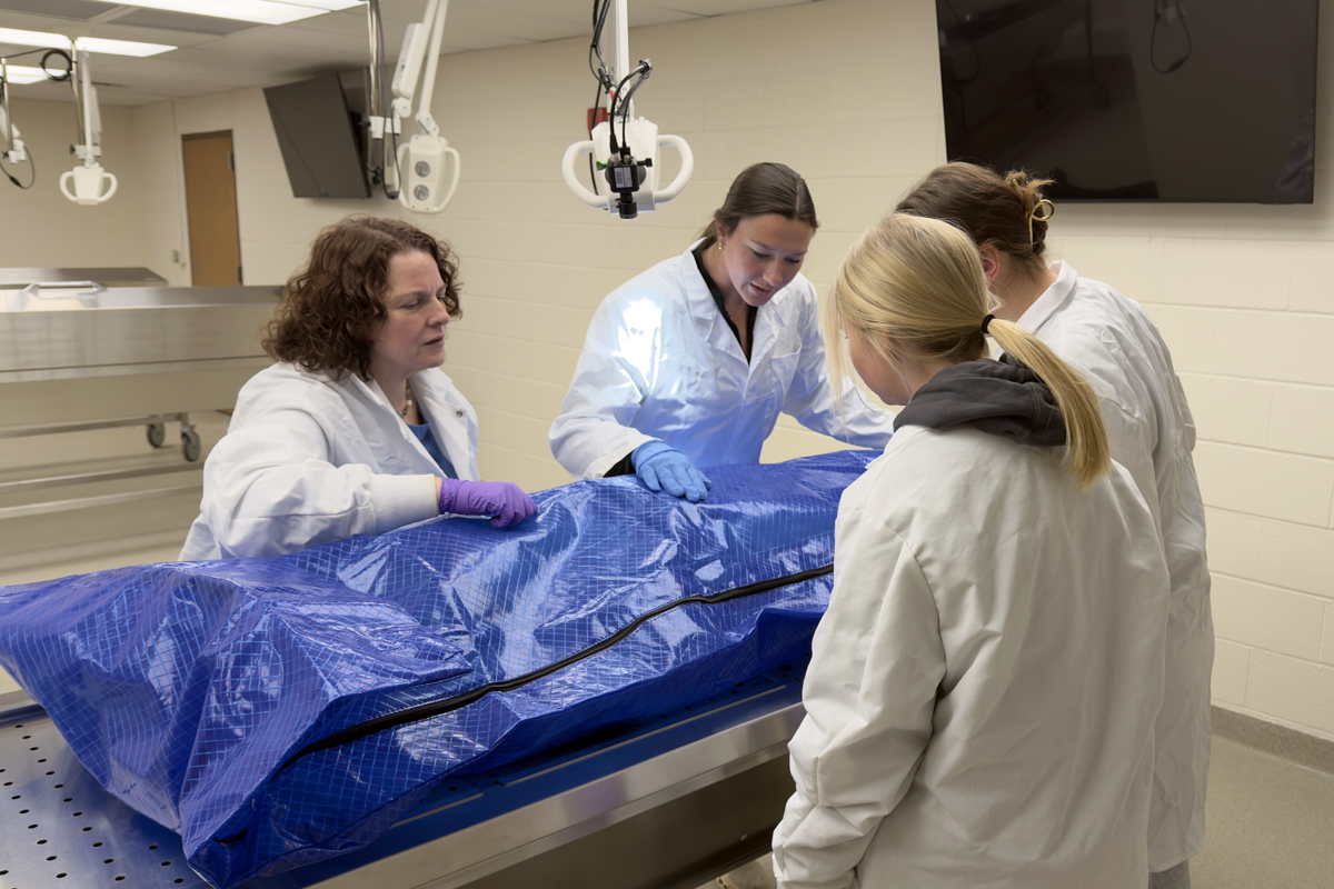 3 students and an instructor standing over table in a cadaver lab