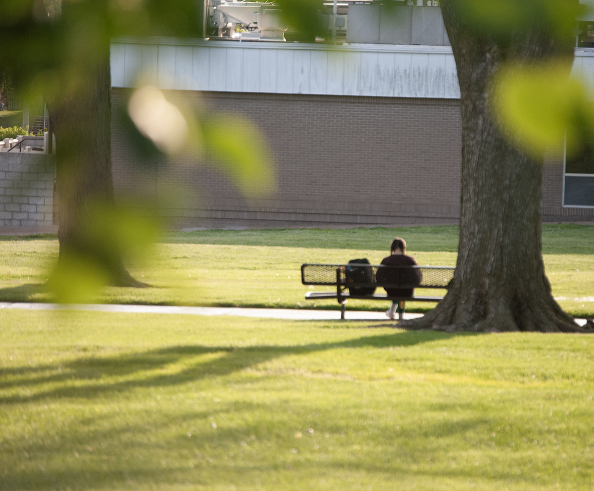view of a silhouette of a student sitting on a bench