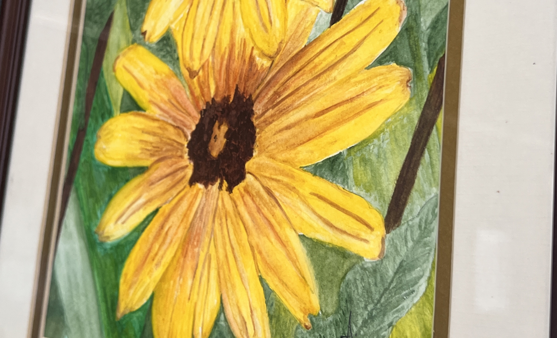 detail of watercolor daisy