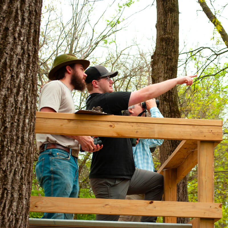 Students in the field observing wildlife